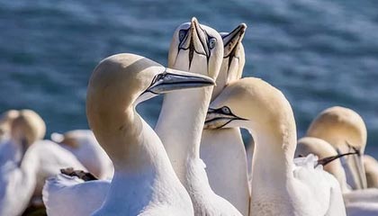 博主分享徐杰精彩片段：“徐杰除了身高全是天赋”