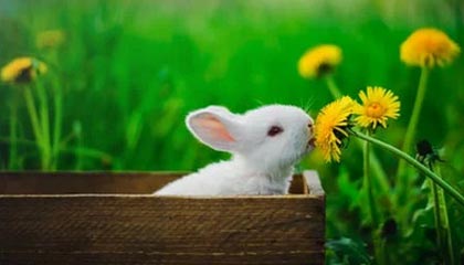 陈妤颉:面对世锦赛有点小紧张,意识到自己是专业运动员了